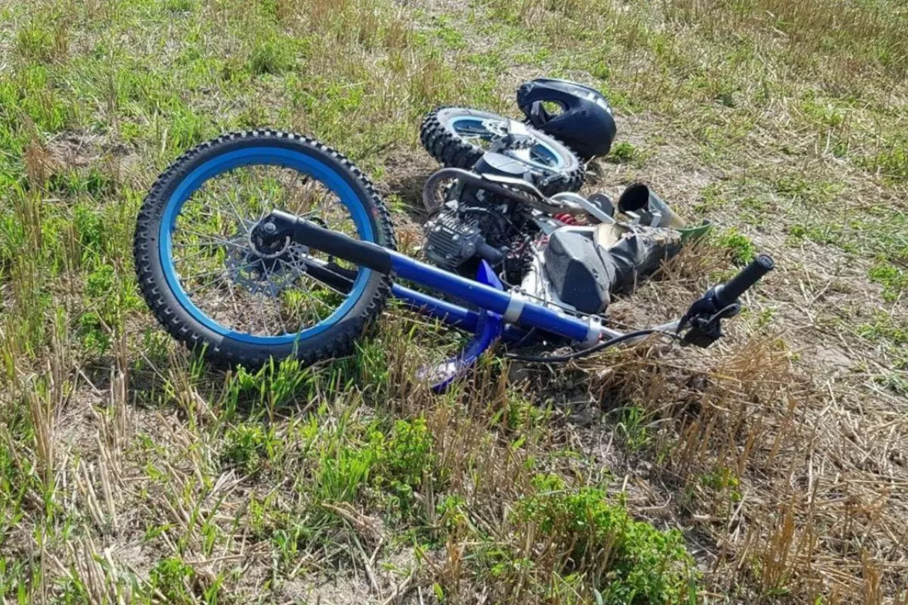 CREATOR: gd-jpeg v1.0 (using IJG JPEG v62), quality = 85