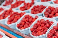 Fresh Yummy Organic Red Berries Raspberries At Market In Trays, Containers.