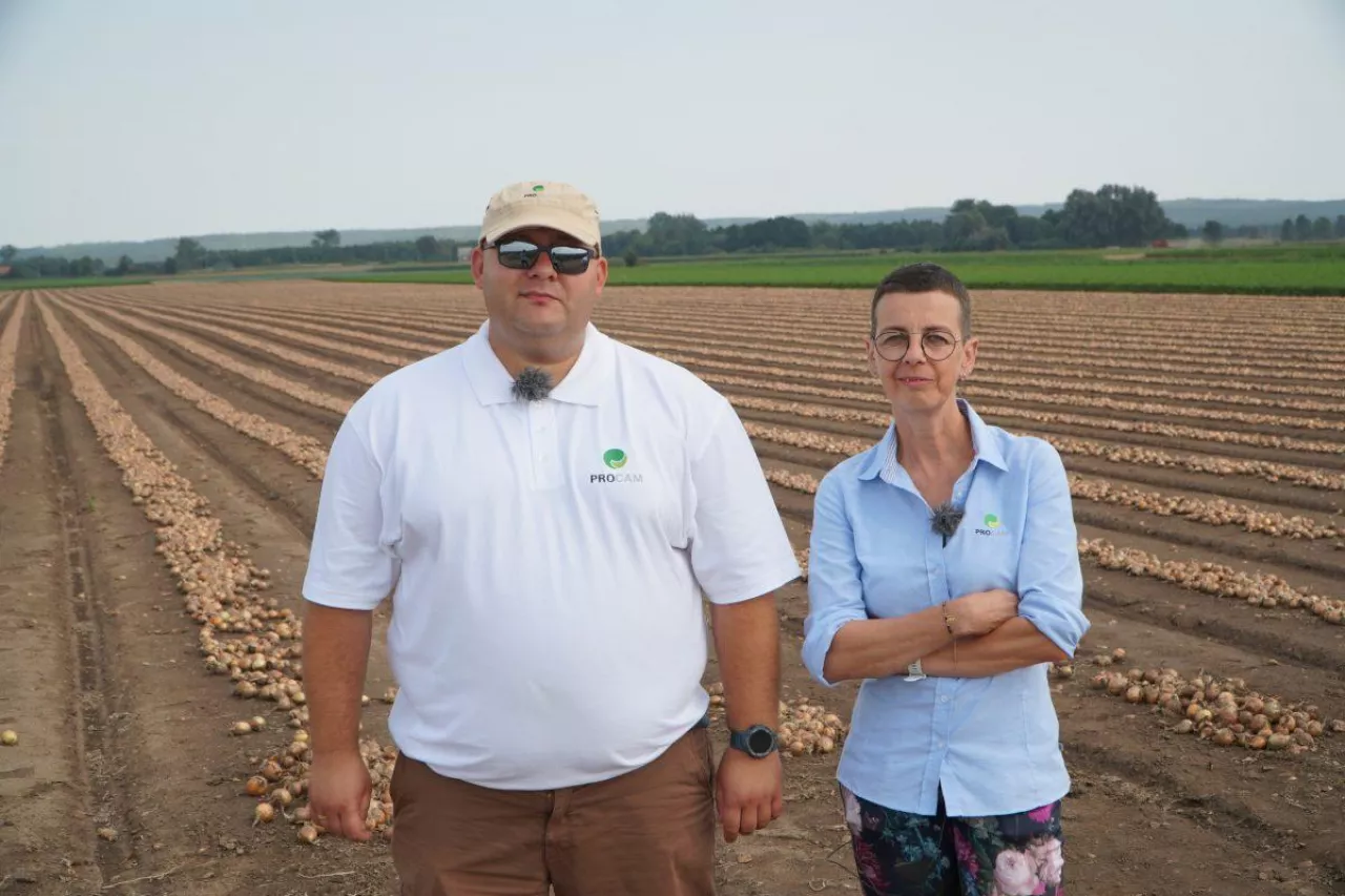 Wyzwania w sezonie cebulowym 2022