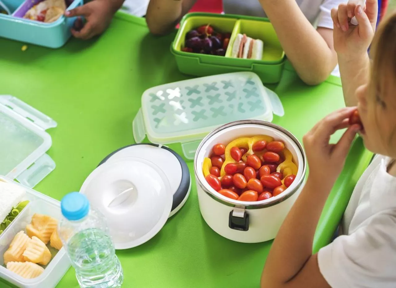 Group of Kindergarten Students Eating Food Lunch Break Together
