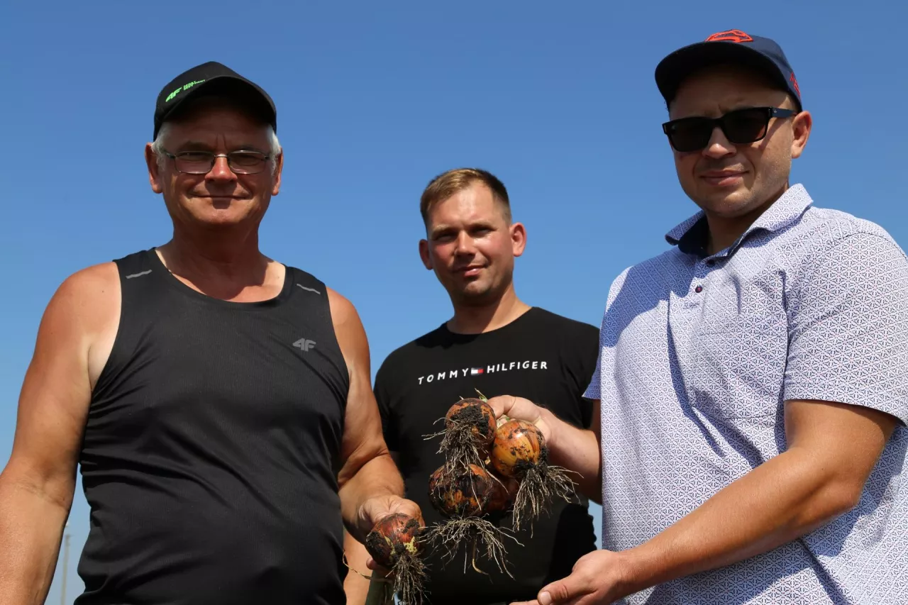 Gospodarz Andrzej Nowiński z synem Leszkiem i Marcin Wieczyński (RolSpec) z cebulami odmiany Khalifer – zdjęcie z 17 sierpnia br.