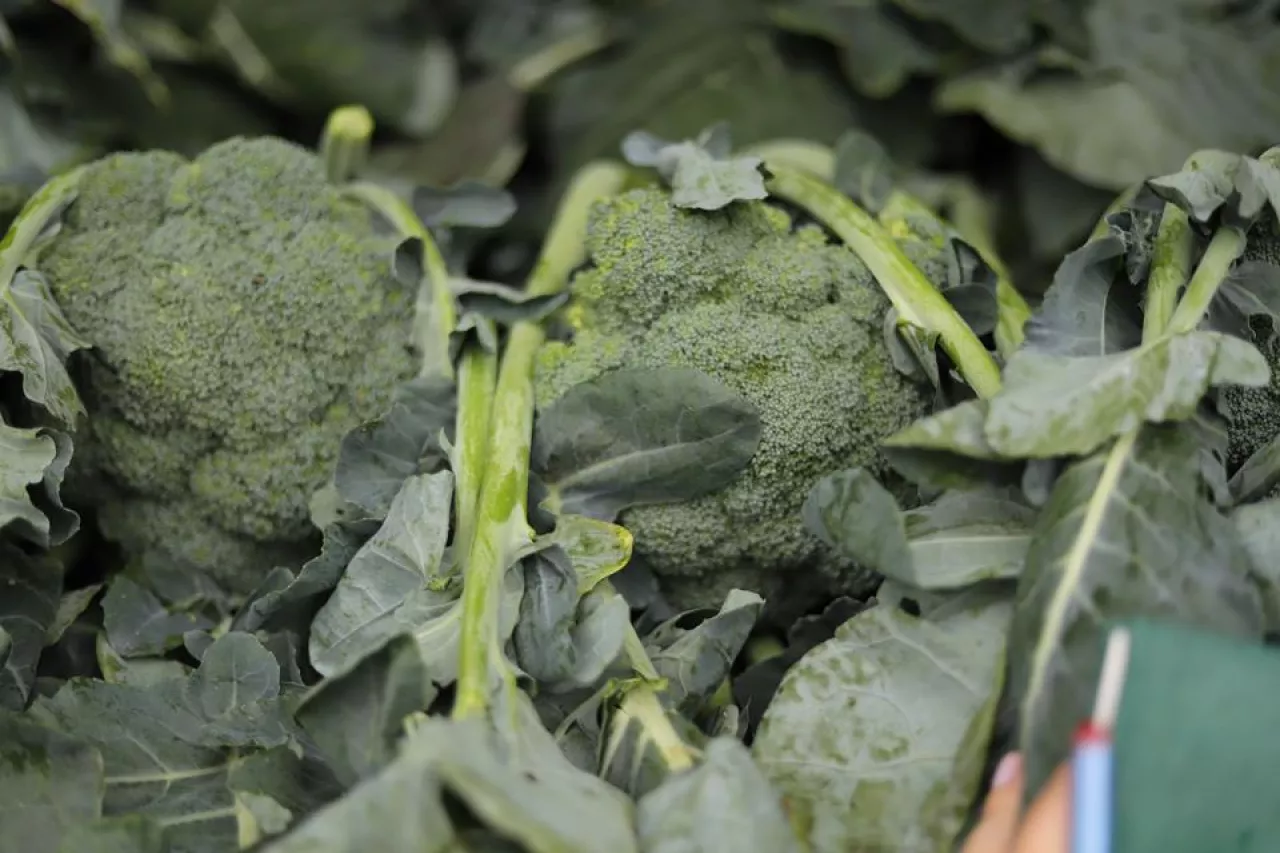 Brokuł - sprzedaż na rynkach hurtowych