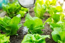 Zmiany w przepisach o nawozach i nawożeniu