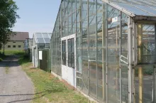 Szklarnie, ogrzewanie węglem, dotacje,