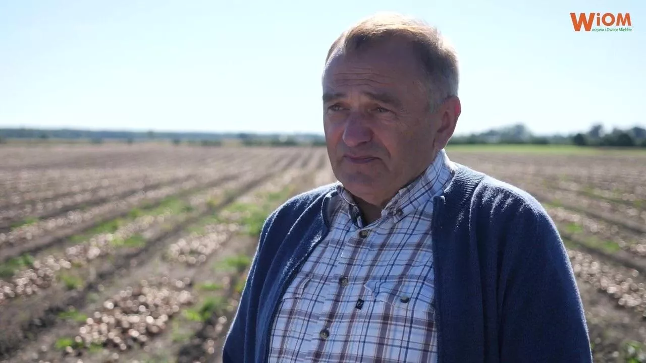 Pan Antoni Lipniewski firma ALSEED