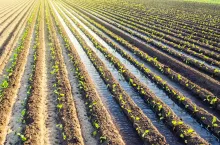 Dyrektywa o emisjach przemysłowych. Co o tym sadzą rolnicy