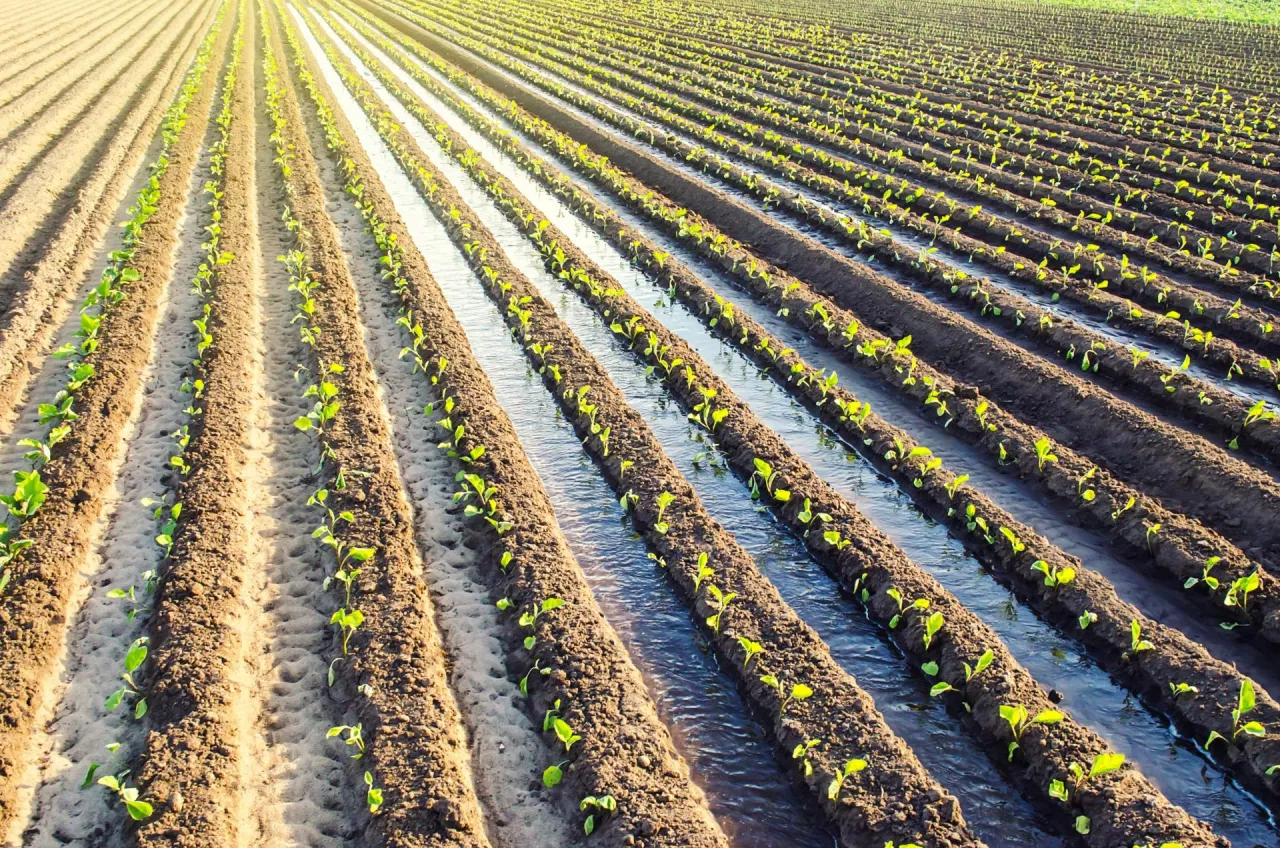 Dyrektywa o emisjach przemysłowych. Co o tym sadzą rolnicy