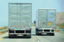 Import mrożonych owoców z Ukrainy do Polski