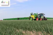 ciagnik z opryskiwacze na polu cebulu