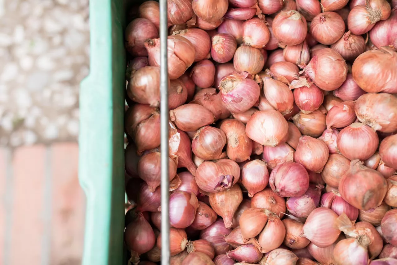 Wzrost cen i niedobór warzyw na Ukrainie