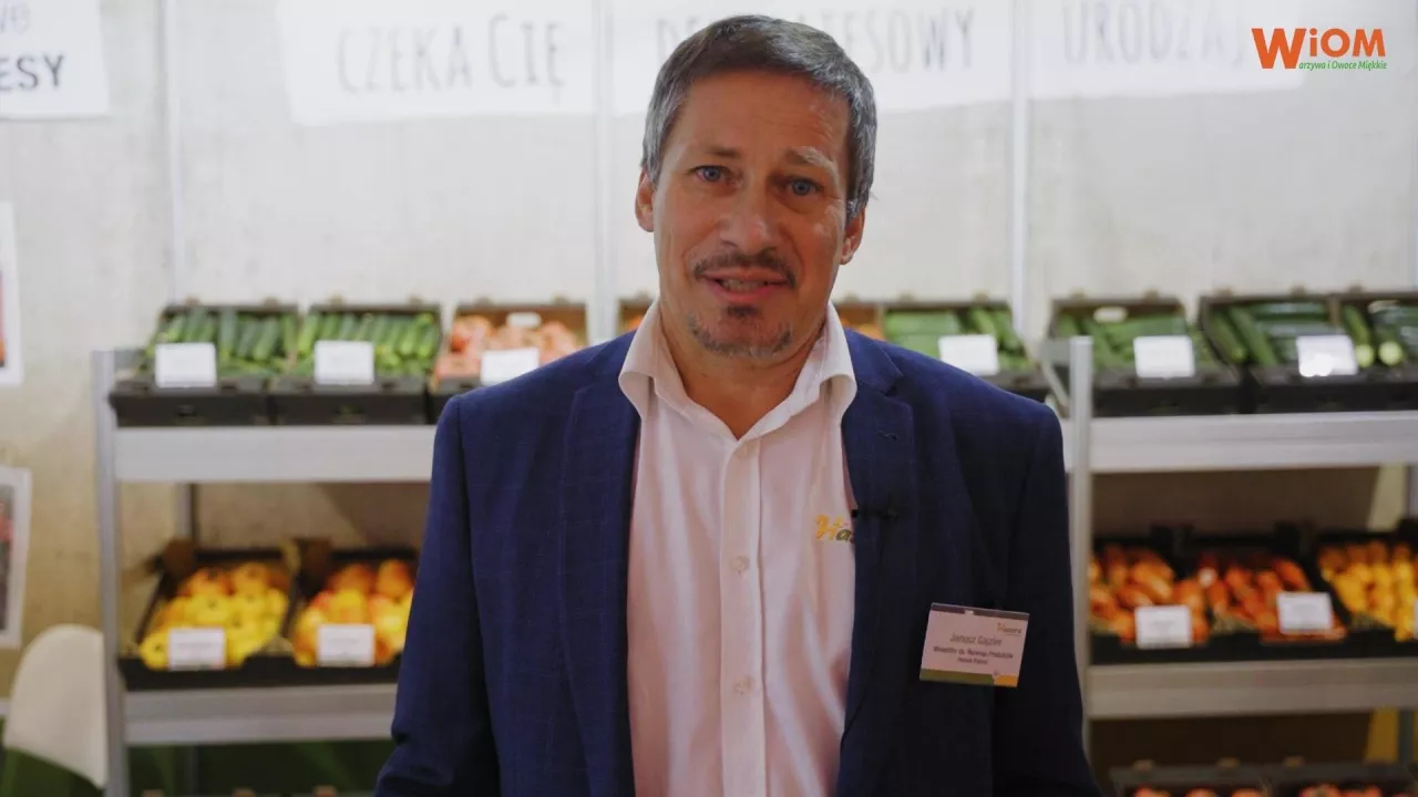 Hazera odmiany pomidora i ogórka pod osłony