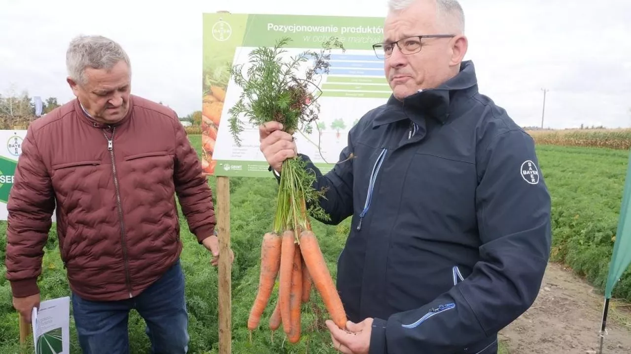 Radosław Suchorzewski