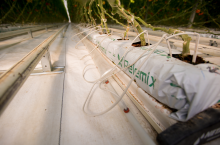 Zamknięty obieg pożywki