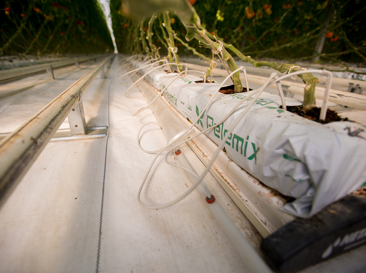 Zamknięty obieg pożywki