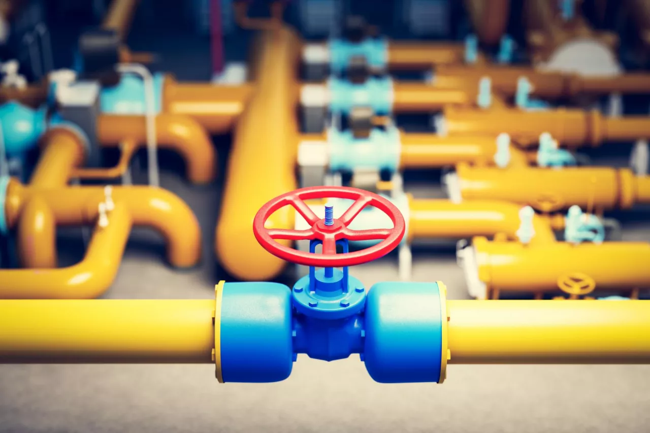 stałe ceny gazu i energii elektrycznej