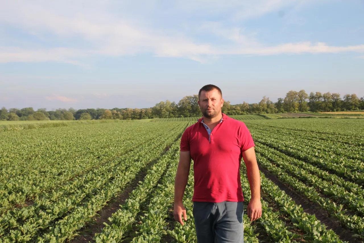 Jan Kuliński, gospodarz, na polu z uprawą buraka ćwikłowego odmiany Wodan.