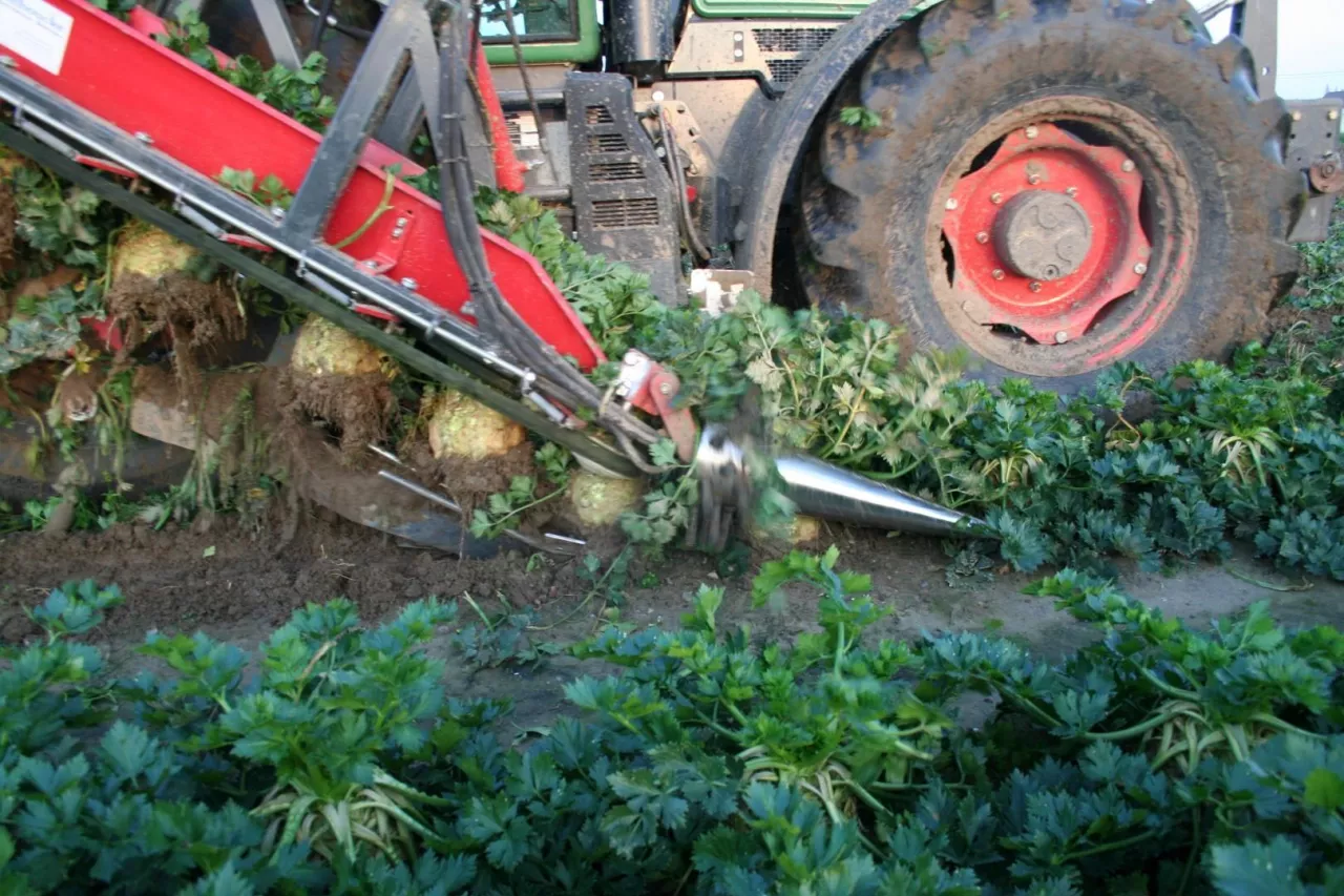 Zbiór kombajnem Vanhoucke.