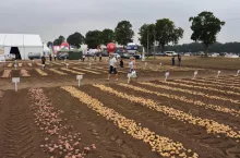 Zamarte – tegoroczna ziemniaczana stolica Polski.