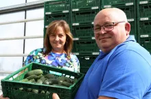 Gospodarstwo Grażyny i Hieronima Gryczyńskich specjalizuje się w produkcji ogórka szklarniowego.