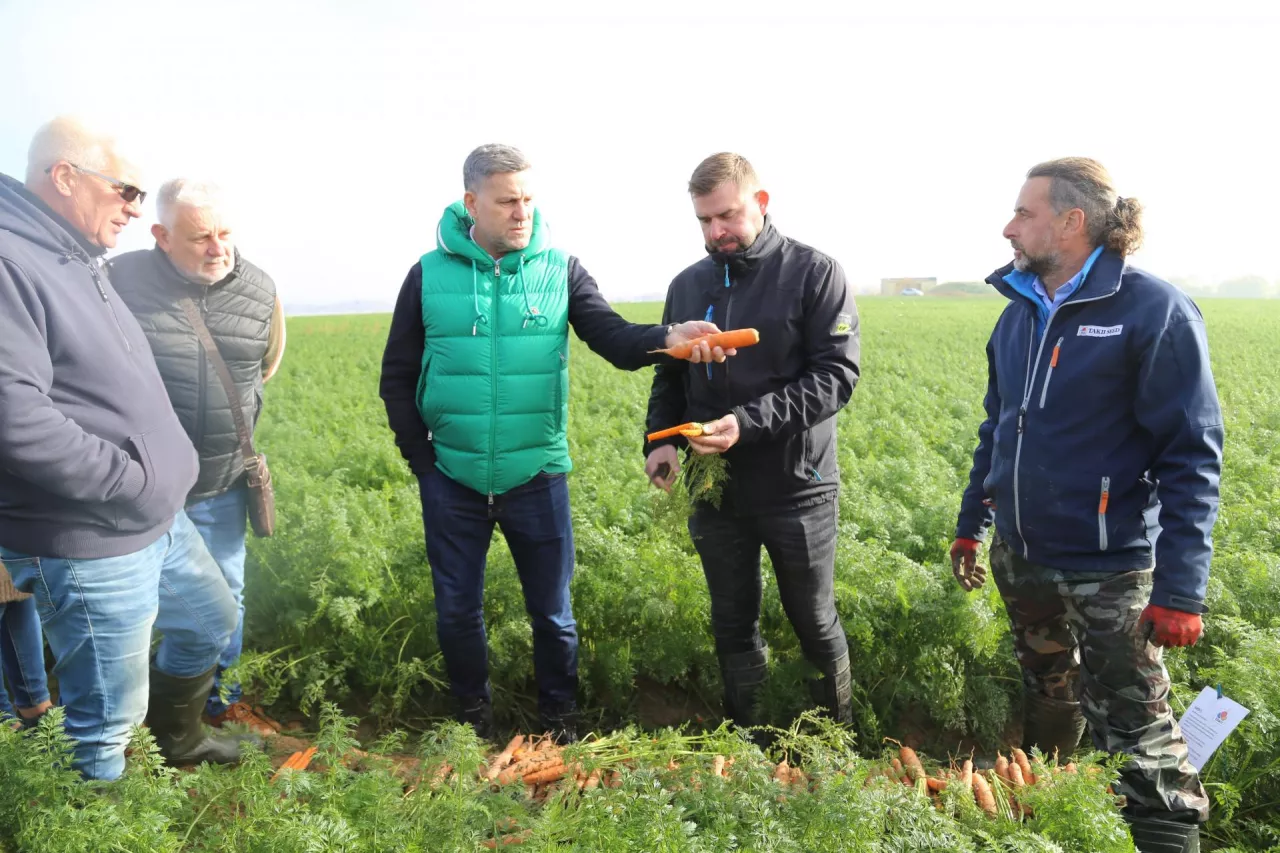 Współwłaściciel Masfrost – Andrzej Jachimek i Joachim Dreszer, dyrektor operacyjny, członek Zarządu zapoznają się z nowymi odmianami marchwi polecanymi przez poszczególne firmy – tu odmiany z Takii Seed.