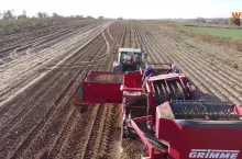 Zbiór ziemniaków 2022