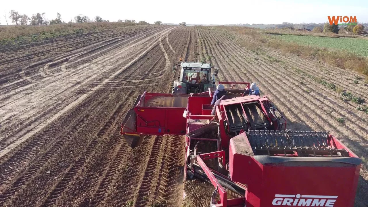 Zbiór ziemniaków 2022