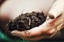 Rolnictwo Regeneracyjne - Agreena