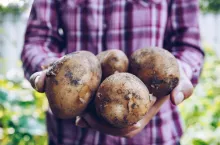 webinarium zrównoważona produkcja