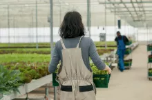 certyfikacja żywności zero pozostałości