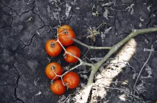 pomoc klęskowa dla rodzin 2022