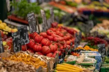 narkotyki w warzywniaku