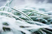 pogoda długoterminowa IMGW