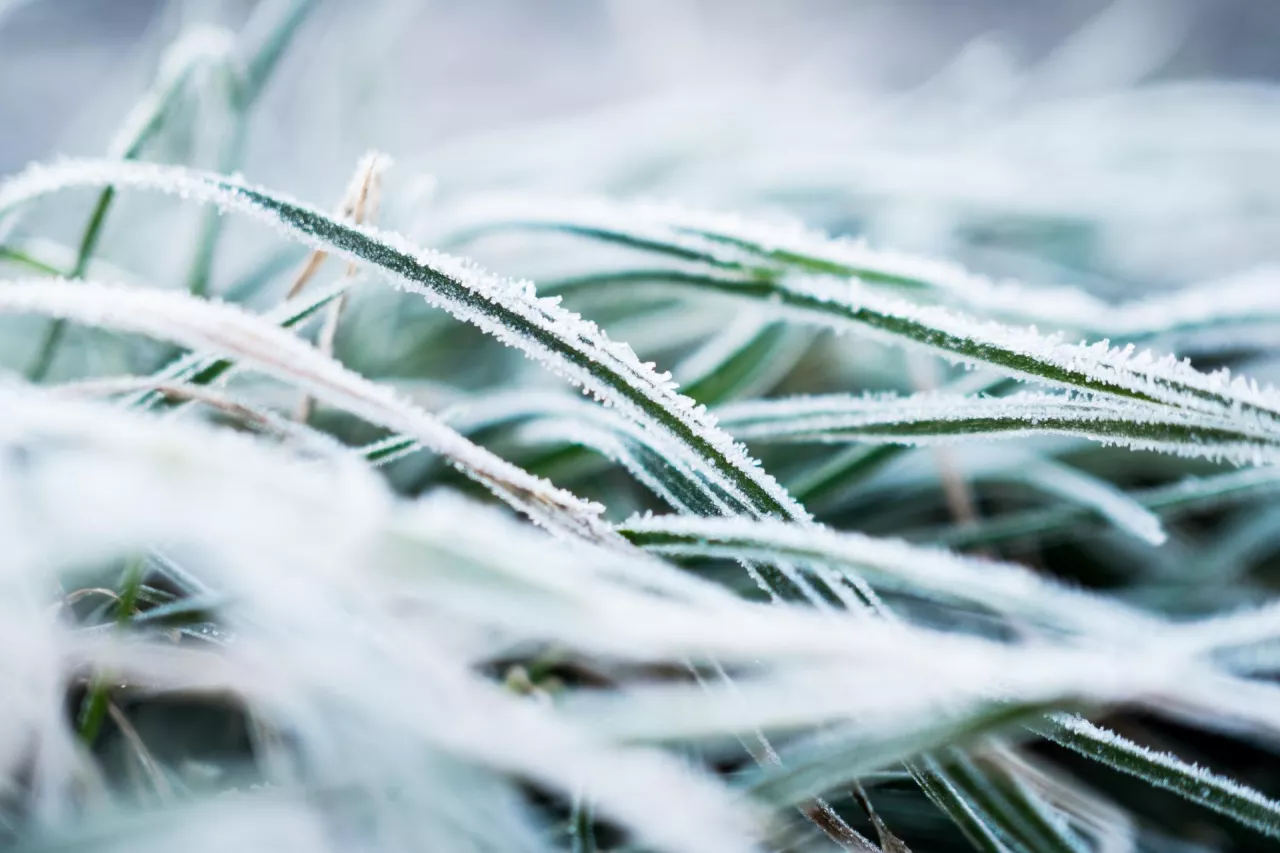 pogoda długoterminowa IMGW