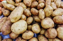 mniejsza produkcja ziemniaków