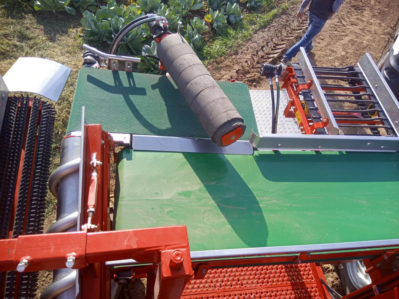 Tył kombajnu Asa-Lift TC-1010E, po lewej elementy obierające kapustę.