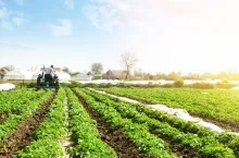 Wypłata renty rolniczej