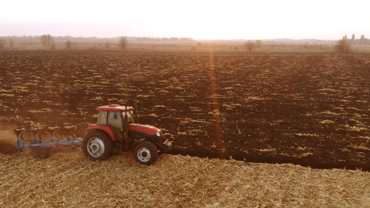 dzierżawa gospodarstwa rolnego zięciowi