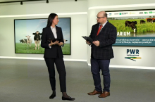 Bojańczyk, Czekała