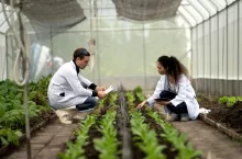 Kontrola jakości handlowej