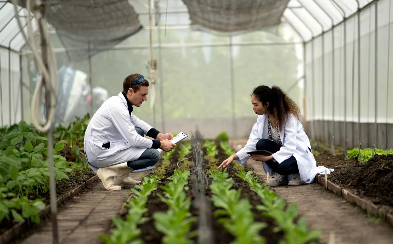 Kontrola jakości handlowej