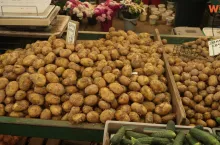 Ceny ziemniaków na rynku hurtowym