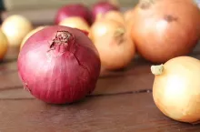 Ceny cebuli na rynkach hurtowych w Polsce