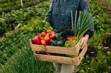 dofinansowania 2022 PROW