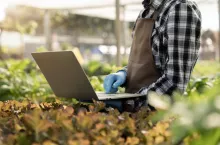 Baza środków ochrony roślin