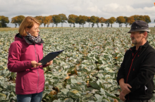 Prosto z pola, ekologiczne kiszonki
