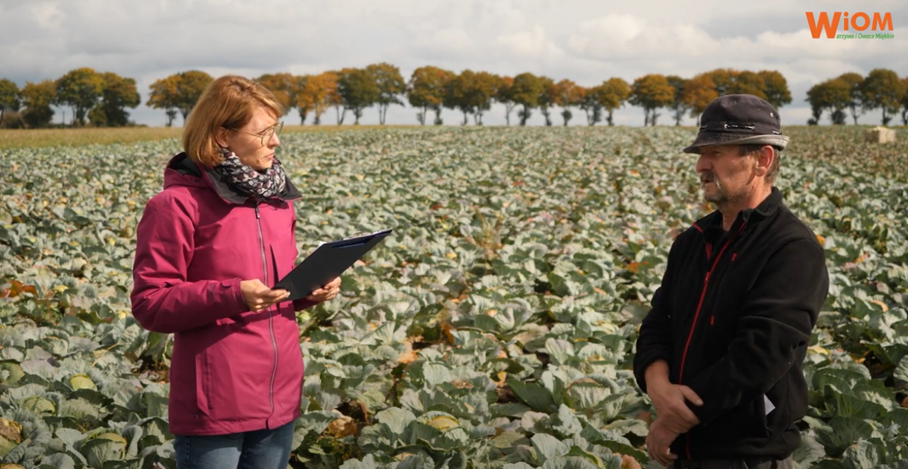 Prosto z pola, ekologiczne kiszonki
