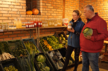 Odmiany kapusty na kiszenie PNOS