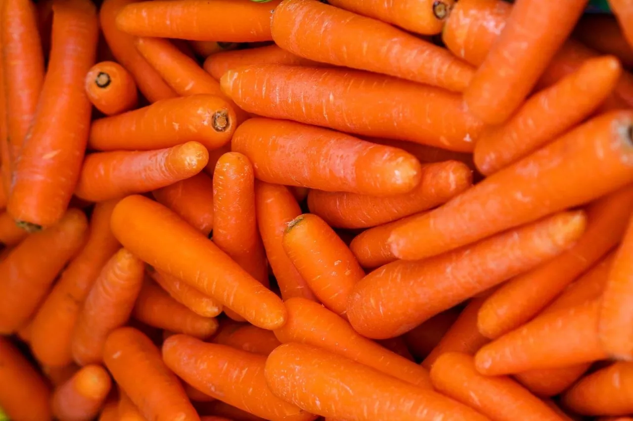 Ceny marchwi/ marchew rynki hurtowe