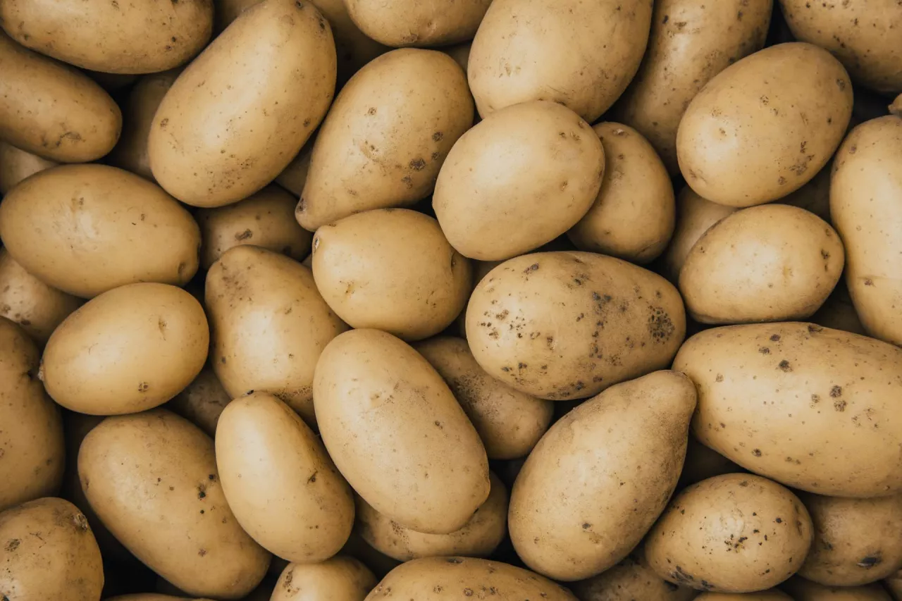 Świadectwa fitosanitarne elektroniczne