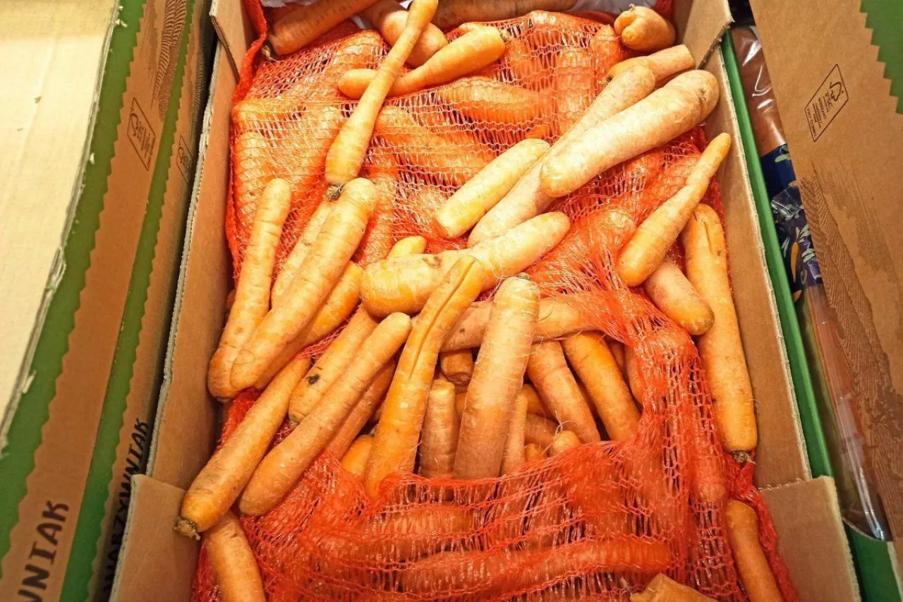 Jakość marchwi w marketach